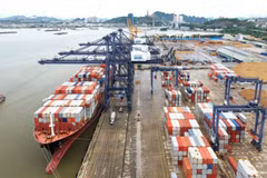 Le secteur des entrepôts du Vietnam transforme le défi de la pandémie en opportunité