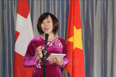 Webinaire sur le marché vietnamien en Suisse