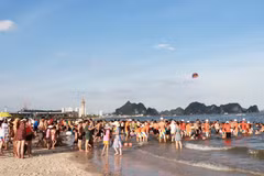 Quang Ninh: forte reprise du secteur du tourisme