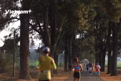 Le Championnat national de marathon de Tien Phong 2021 débute à Gia Lai