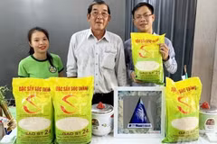 Pour protéger les marques du riz ST24 et du riz ST25 du Vietnam