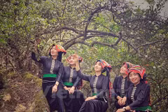 Les filles ethniques Thai apprécient l'atmosphère de ressort dans le plateau de Moc Chau