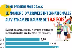 Le nombre d’arrivées internationales au Vietnam en hausse de 18,8 fois en dix mois