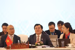 Le Vietnam participe à la 56e réunion des ministres de l'Économie de l'ASEAN (AEM). Photo: VNA