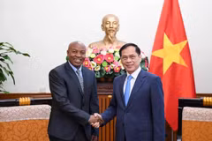 Le vice-Premier ministre et ministre des Affaires étrangères Bui Thanh Son (droite) et le vice-ministre tanzanien des Affaires étrangères et de la Coopération est-africaine, Cosato David Chumi. Photo: VNA