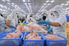 Transformation du pangasius. Photo: VNA