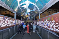 Placées sur le thème « Eau », les installations artistiques sur le pont piétonnier Tran Nhat Duat le transforment en un « aquarium coloré et animé » avec des lumières et des dessins 3D. Photo: VNA