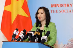 Mesures de protection des citoyens prises pour protéger les Vietnamiens à l'étranger 