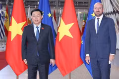 La présidente de l'AN Vuong Dinh Hue rencontre le président du Conseil européen