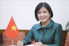 Le Vietnam souligne le rôle de la Conférence des Nations Unies sur le commerce et le développement