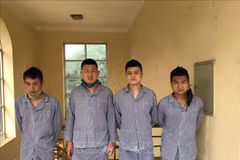 Quatre Chinois arrêtés pour entrée illégale dans la province de Tuyên Quang