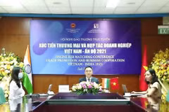 Pharmacie et énergies renouvelables, nouveau moteur pour les liens commerciaux Vietnam-Inde 