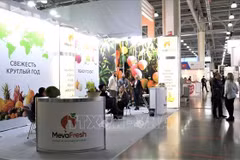  Produits vietnamiens présentés au salon de l'alimentation en Russie