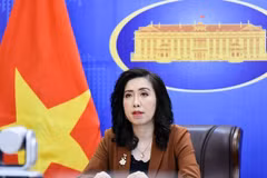 Mesures de protection des citoyens prises pour une travailleuse vietnamienne en Arabie Saoudite