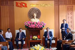 Quang Nam et Savannakhet (Laos) renforcent leur coopération
