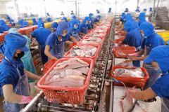 De grandes opportunités pour les exportations vietnamiennes de thons vers le Canada