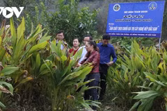 Bac Kan mise sur les coopératives pour accélérer son développement