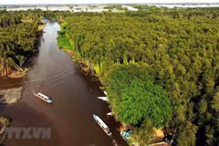 Journée mondiale de l'environnement: Conservation des écosystèmes dans le delta du Mékong