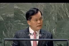 L’ONU salue les engagements vietnamiens en matière de lutte contre le changement climatique