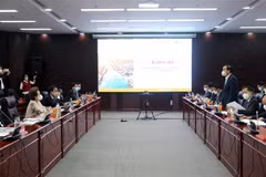 Da Nang renforce sa coopération avec les groupes BRG et Sumitomo