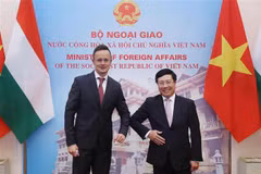 Vietnam-Hongrie : entretien entre les deux ministres des Affaires étrangères