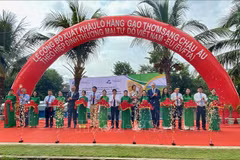 EVFTA : 126 tonnes de riz parfumé du Vietnam exportées vers l’Union européenne