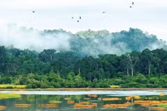 Le parc national de Cat Tien rejoint la Liste verte de l'UICN