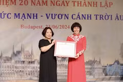 Remise du certificat de mérite à la présidente de l'Union des femmes vietnamiennes en Hongrie Phan Bich Thien