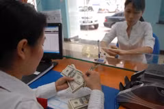 Le marché des devises connaîtra des fluctuations d'ici la fin de l'année. Photo: Vietnamplus