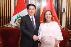 Le président vietnamien Luong Cuong et son homologue péruvienne Dina Ercilia Boluarte Zegarra. Photo: VNA
