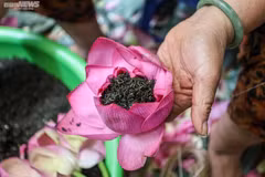 L’art du thé parfumé au lotus du lac de l’Ouest à Hanoi 