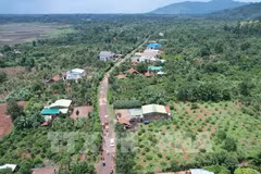 Un tronçon de l'autoroute Khanh Hoa - Buon Ma Thuot, traversant la commune d'Ea Kenh, district de Krong Pac, province de Dak Lak. Photo: VNA