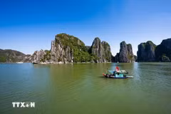 Baie d'Ha Long. Photo : VNA