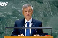Le Vietnam souligne les obligations des pays d’exécuter les jugements de la Cour internationale de justice