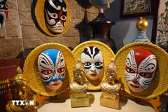 Continuer de transmettre l'art du "tuồng" à Binh Dinh