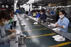 Les chaussures sont les produits importés essentiels vers le Pérou. Photo : VietnamPlus