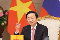 Le vice-Premier ministre Tran Hong Ha. Photo : VNA