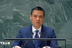 L'ambassadeur Dang Hoang Giang, chef de la Mission permanente du Vietnam auprès de l'ONU. Photo : VNA