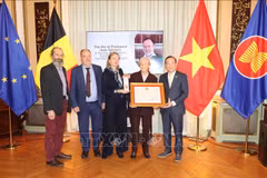 L’Ambassadeur du Vietnam en Belgique, Nguyên Van Thao, remet l'Ordre de l’Amitié de l’État vietnamien au défunt Professeur Jean Salmon à sa famille. Photo : VNA