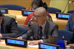 Le chef adjoint de la Mission permanente du Vietnam auprès de l'ONU, le ministre conseilleir Nguyen Hoang Nguyen. Photo : VNA