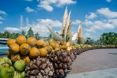 La 5e édition du Festival de la noix de coco de Bên Tre prévue en novembre