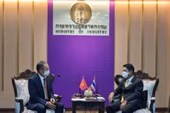 Le Vietnam et la Thaïlande promeuvent la coopération industrielle 