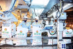 L'usine d'azote de Ca Mau célèbre sa six millionième tonne d'urée