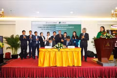 Promotion des exportations de granulés de bois vers le Japon