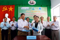 Vinh Long : Coopération dans l'exportation de mangues vers le marché américain