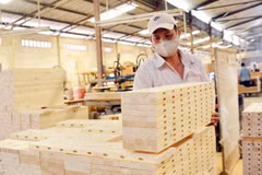 Les exportations de produits sylvicoles en hausse de 17,8% en avril