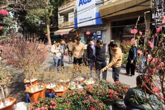 Têt 2019 : Des espaces du Têt dans le Vieux quartier de Hanoï