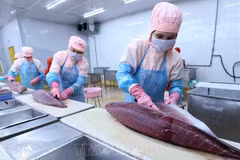 L'EVFTA dynamise les exportations nationales de thon 