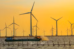 Pour promouvoir le développement de l'éolien offshore