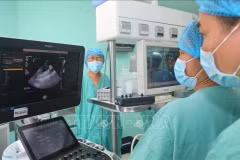 Lors d'une opération de transplantation d'organes à Quang Ninh (Photo : VNA)